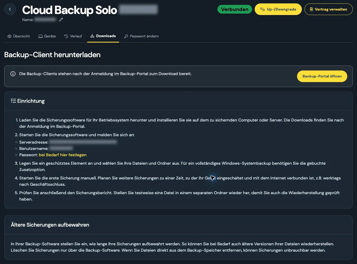 Einrichtungshilfe für Cloud Backup im Kundenmenü mit unkenntlich gemachten Kontodaten und Serveradresse