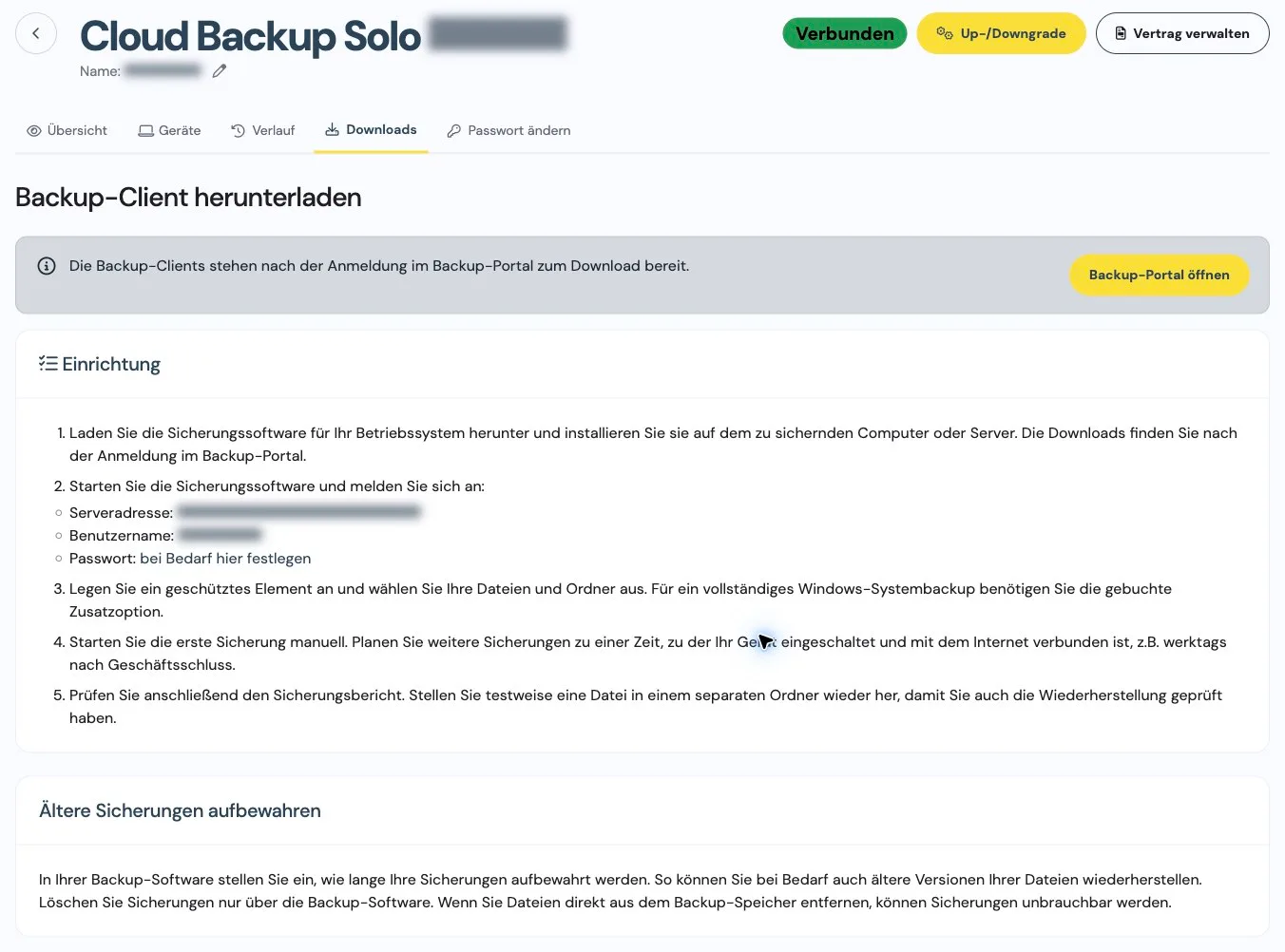 Einrichtungshilfe für Cloud Backup im Kundenmenü mit unkenntlich gemachten Kontodaten und Serveradresse